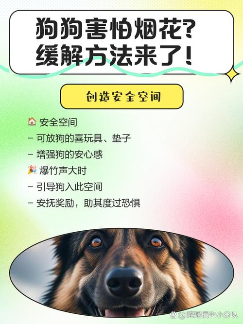 狗狗突然很害怕发抖到处躲,可能是因为以下原因: