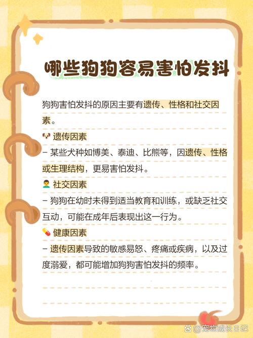 狗狗突然很害怕发抖到处躲