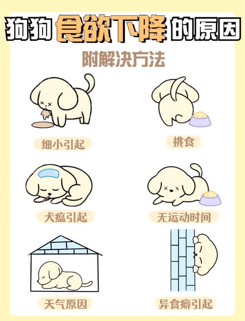 ...以前很活泼,现在变得懒得动,不怎么吃饭,一只眼睛睁不开的样子,_百...