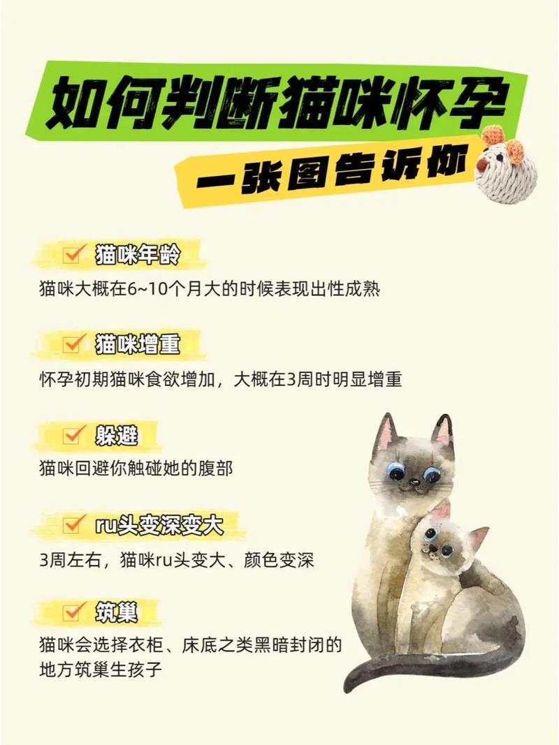 猫配上几天能看出来怀孕