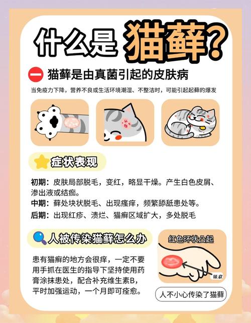 猫咪得猫癣怎么治好得快