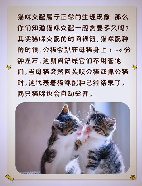 猫咪配种需要关笼子嘛,一般不需要关笼子以免打架