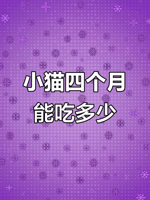 四个月的猫一天吃多少猫条