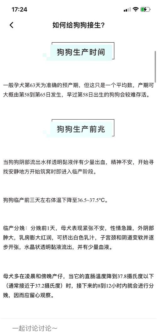 狗狗一般都多少天下崽