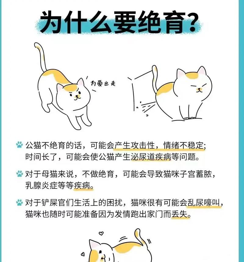 为什么要给猫咪做绝育