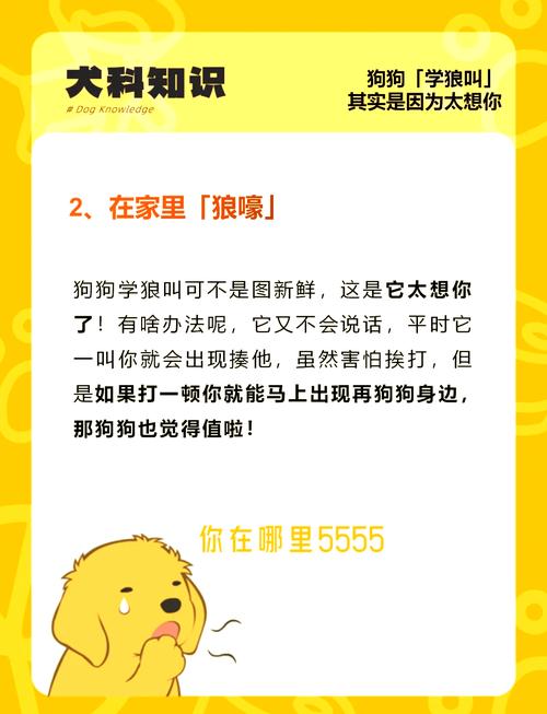 家里养的狗学狼叫是怎么回事,家里的狗学狼叫怎么办