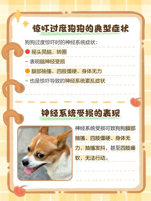 狗受到惊吓后的症状会持续多久