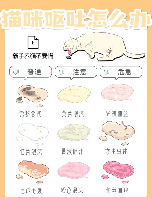 猫咪一直干呕的原因及处理方法