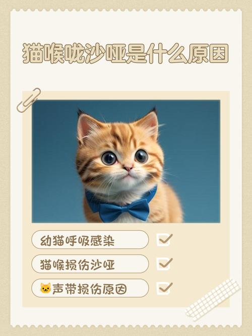 猫咪一直干呕吐不出来怎么回事