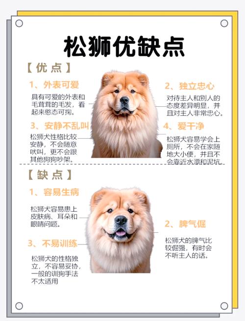 松狮狗狗多大办狗证啊?在哪里办?都需要带些什么?用带狗狗去吗?