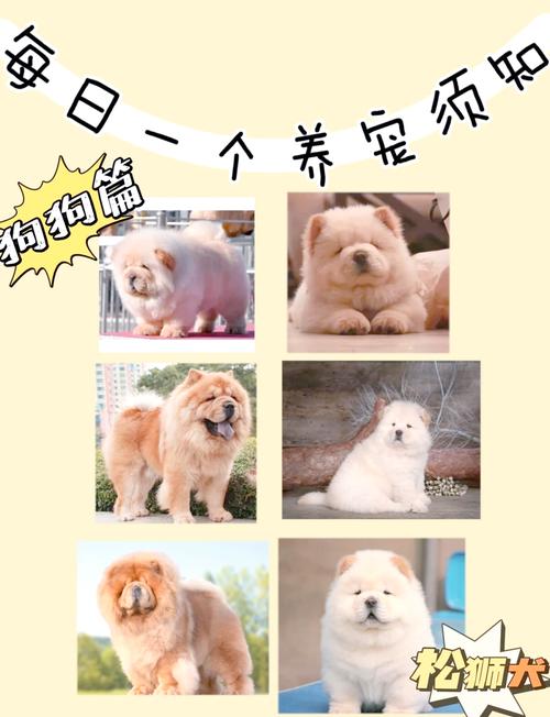 养狗要办狗证吗