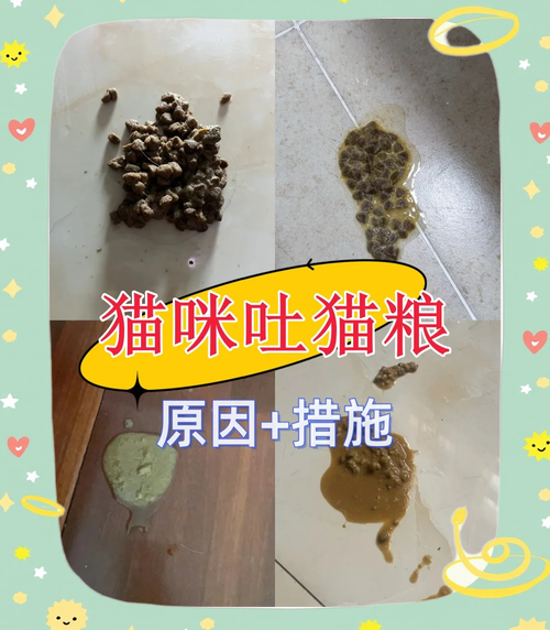 猫为什么吐猫粮