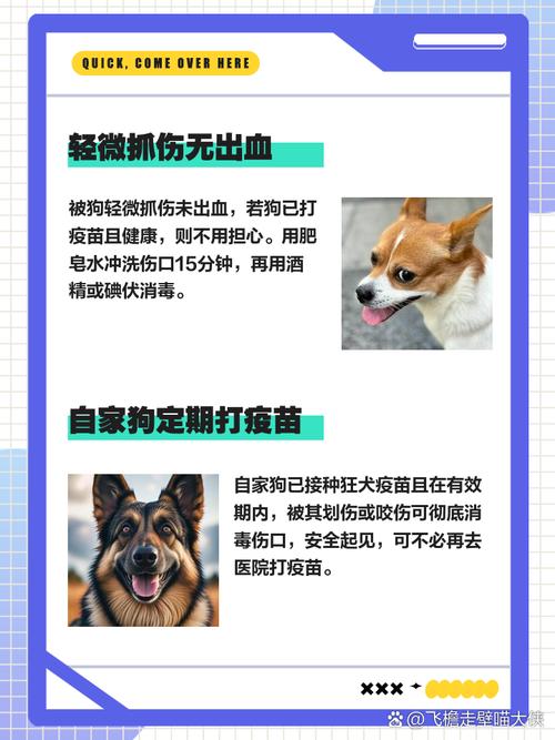 狗狗抓了要不要打疫苗