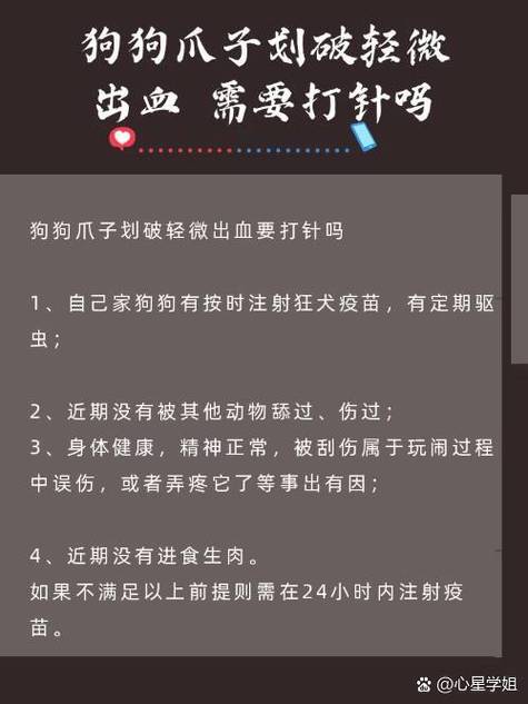 狗爪子抓伤要不要打针