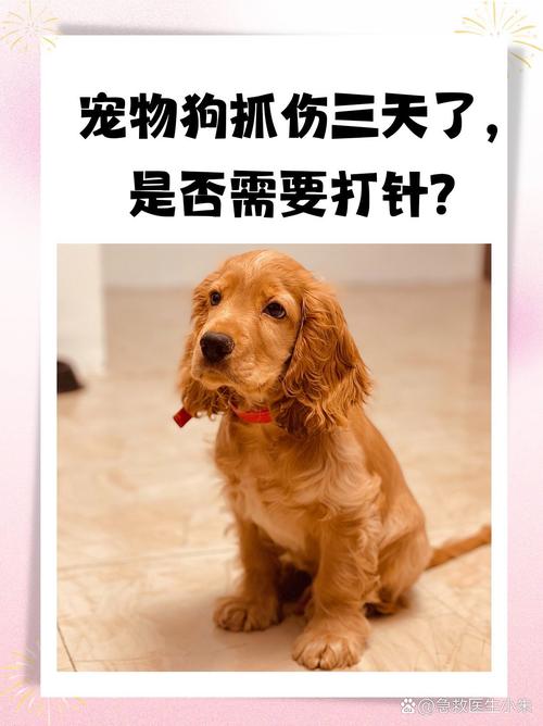 被自家狗狗抓伤要不要打针