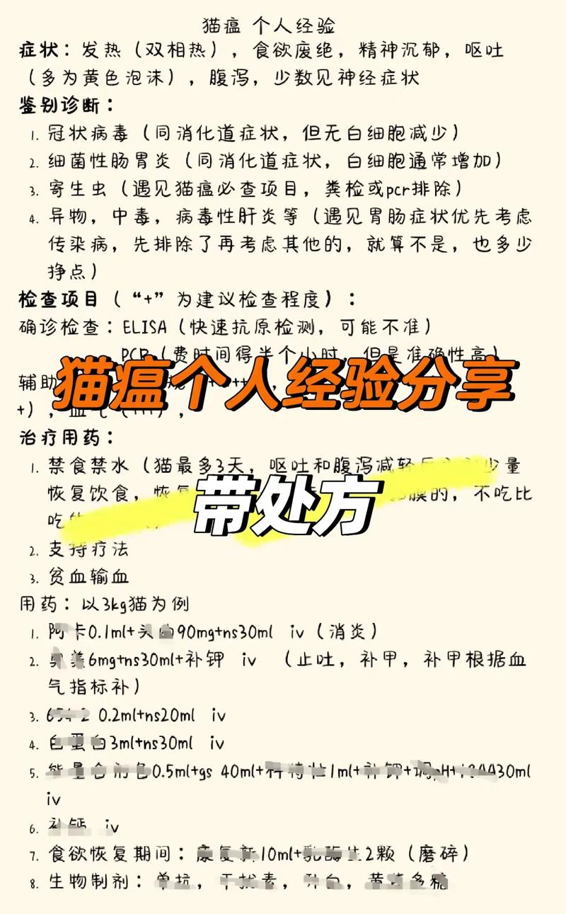 猫咪吃的云南白药是哪种