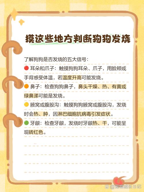 怎么判断狗狗发烧