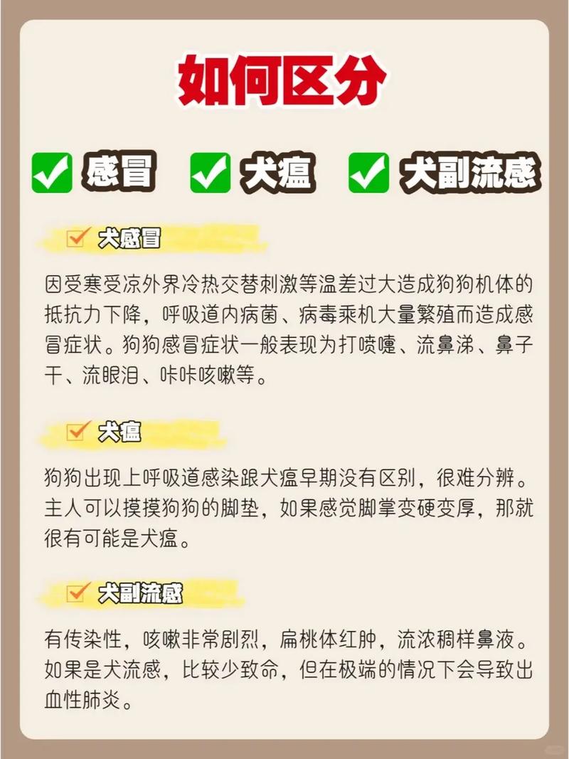 狗狗副流感并发症