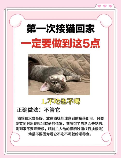 哪个快递可以寄活体宠物