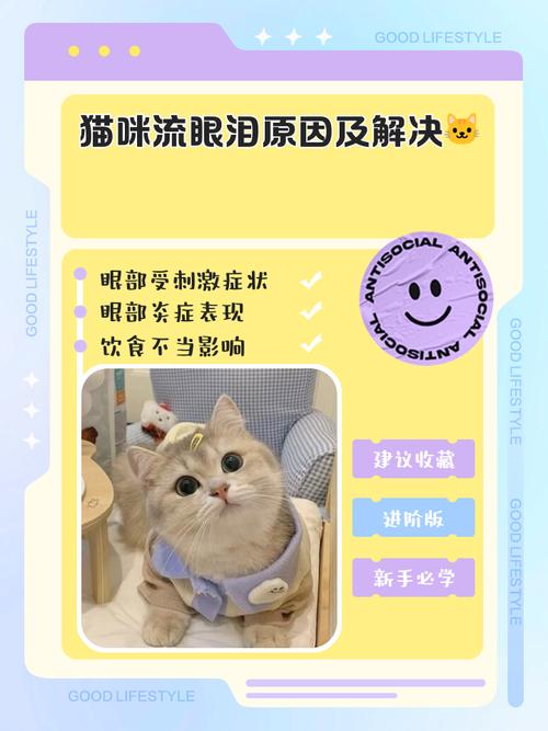 猫咪流眼泪是怎么回事