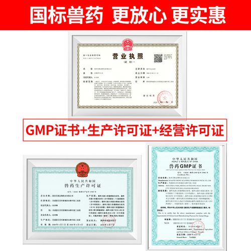 狗狗不吃不喝怎么办?