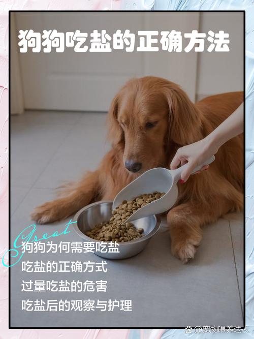 狗狗什么情况下喝盐水