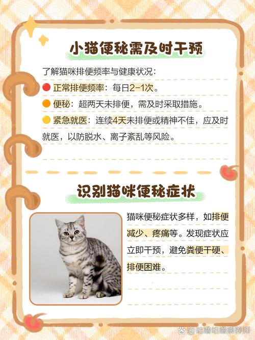 猫猫几天不拉屎怎么办
