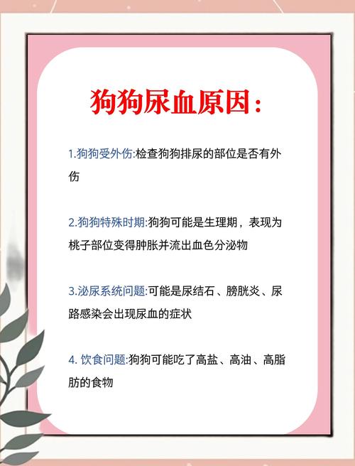 狗狗尿血能自愈吗,会自己好吗?