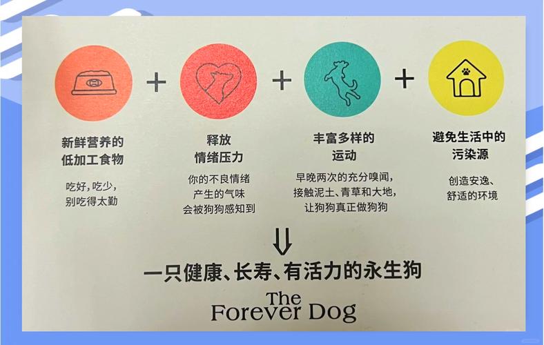 【馋不腻狗粮百科】泰迪一般寿命多长?