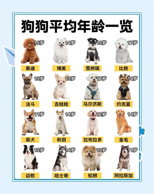 狗的正常寿命有多长时间,能活多少年。我的狗今年16年了用狗龄算今年多...