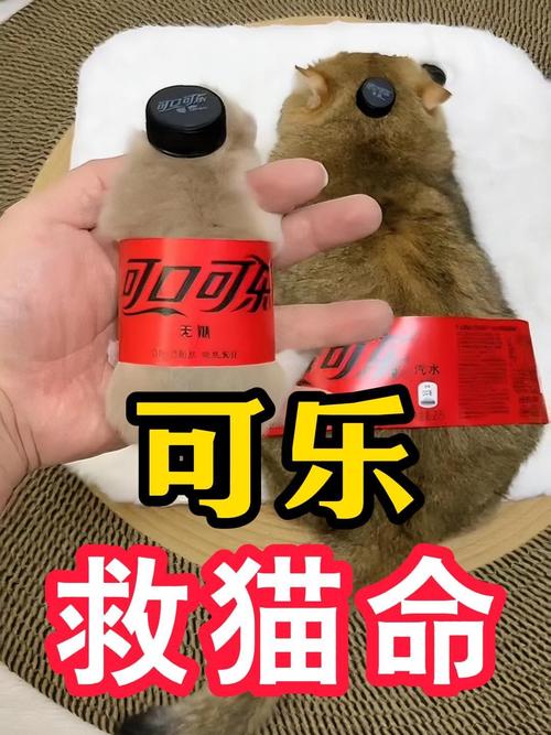 猫咪可以喝可乐吗