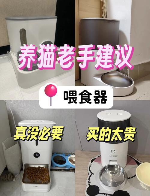 猫咪自动喂食器科学喂养时间?