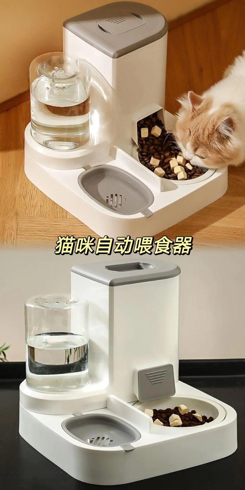 简单的喂猫器制作方法