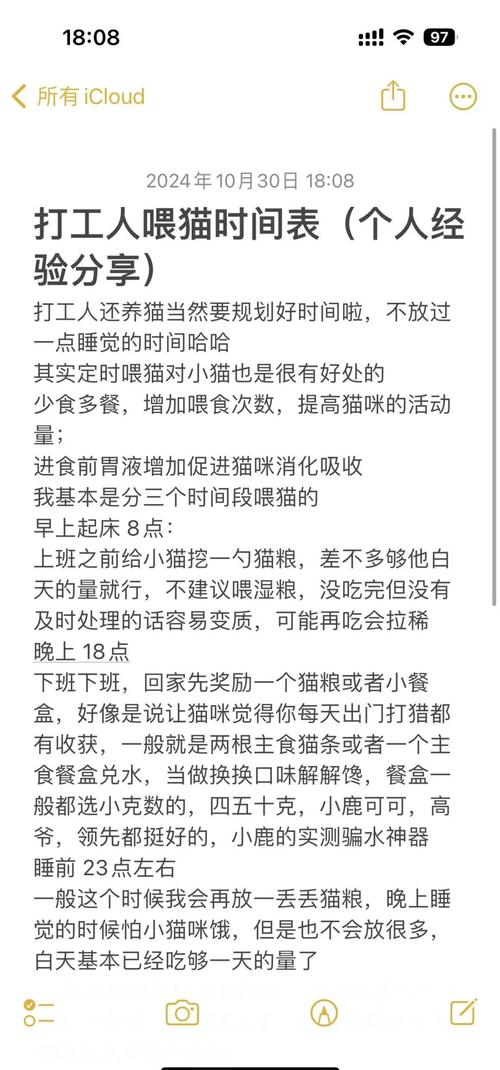 如何定时定量给猫咪喂食?