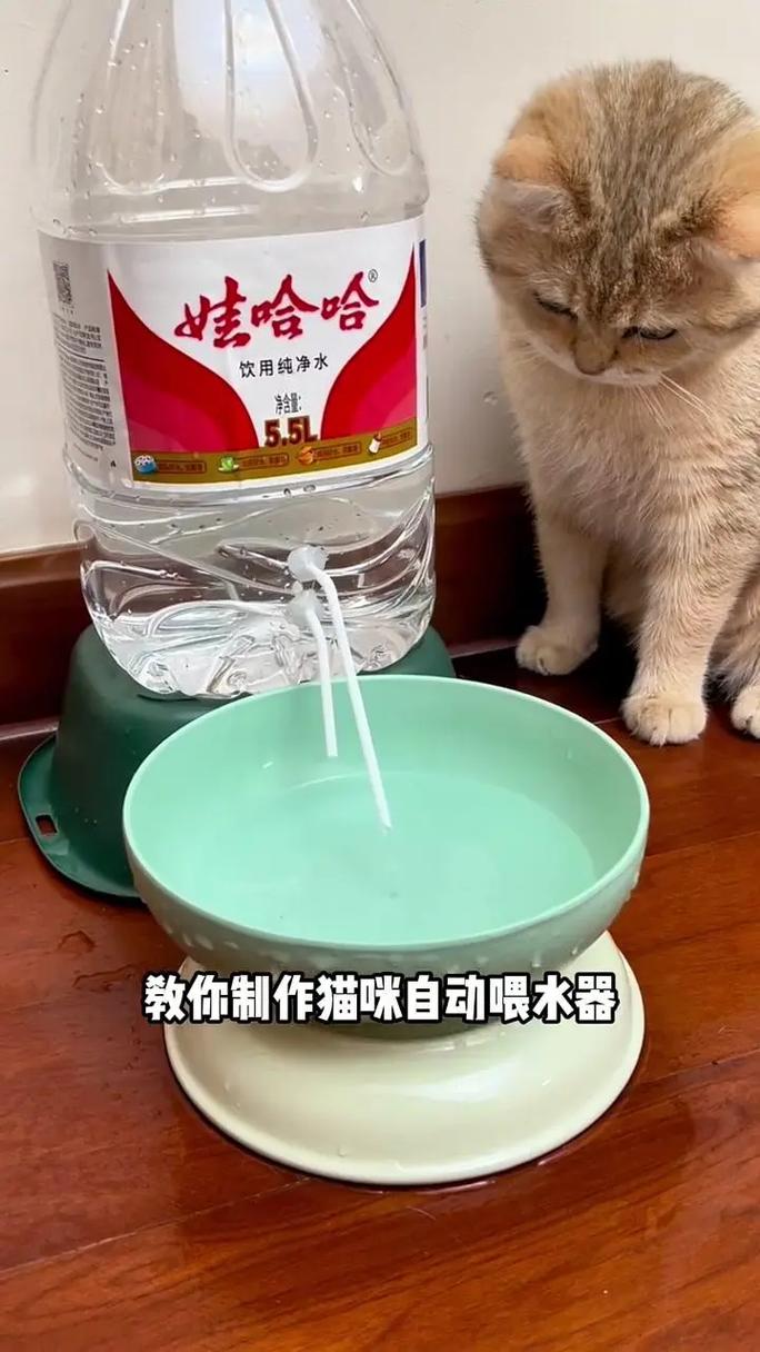 如何DIY一台猫咪自动喂食器