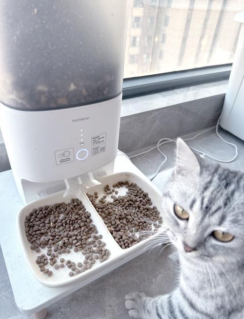 给猫咪使用自动喂食器的优缺点是什么呢?
