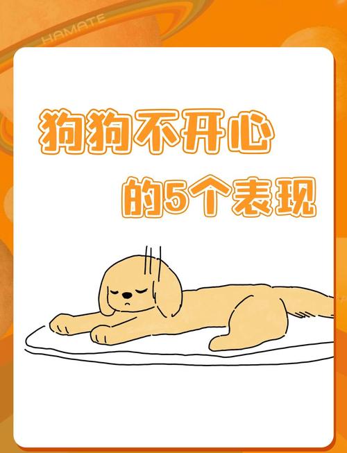 狗子不开心的表现有哪些?
