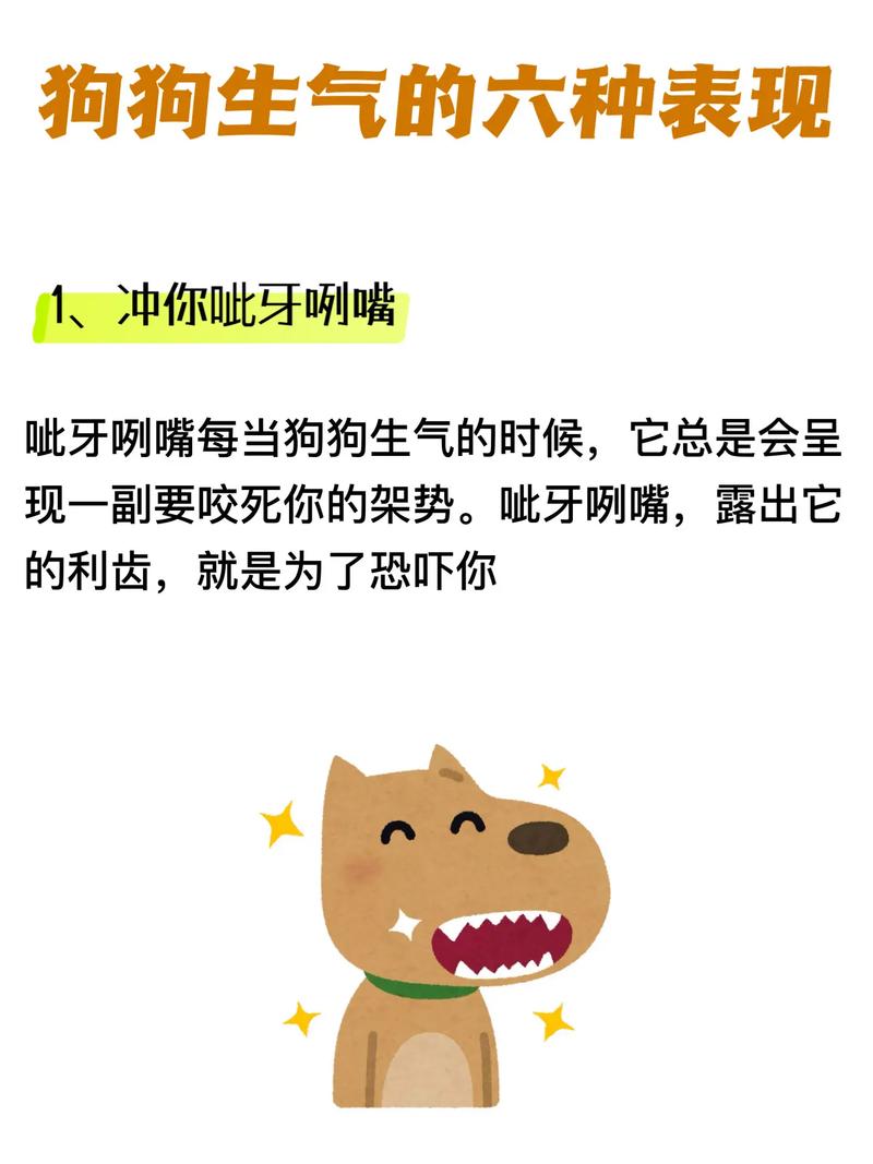 狗狗不开心有什么表现?