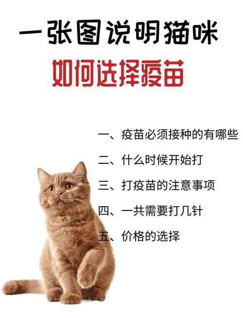 我要给自己家的猫猫打疫苗,一般说的皮下注射是否指脖子?