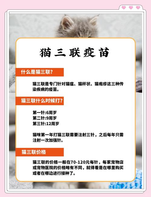 猫的三针疫苗分别是什么