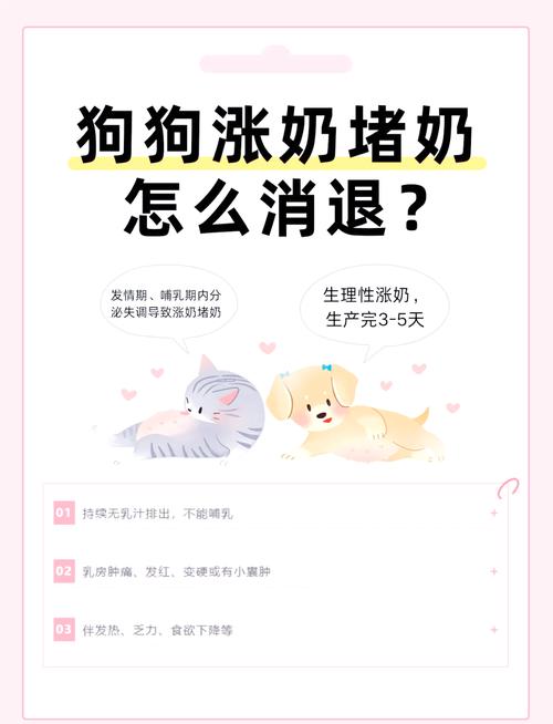 小狗断奶后大狗狗涨奶了怎么办?