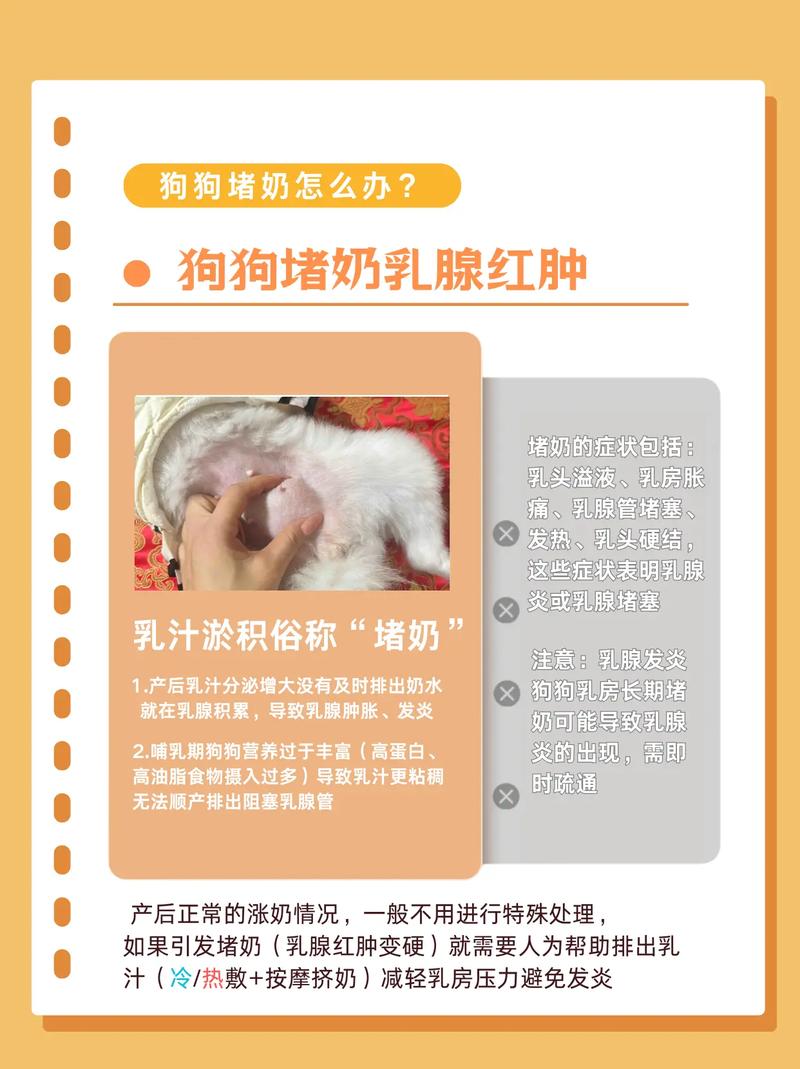 狗狗断奶后涨奶怎么办