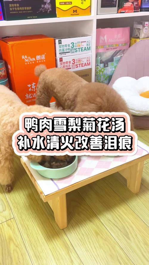 狗狗吃什么药去火