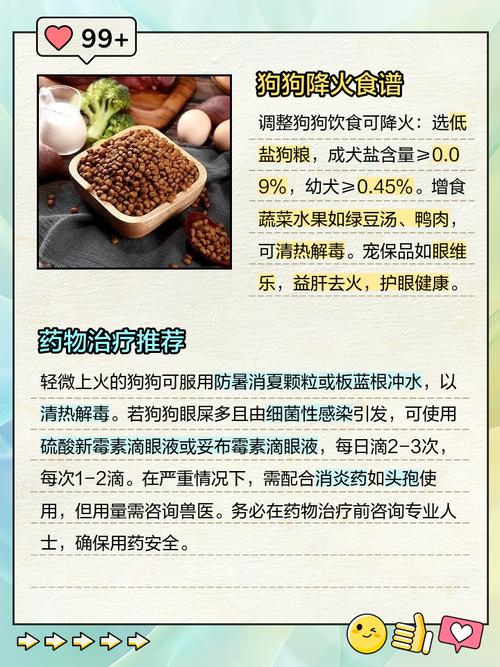 狗狗上火吃什么药