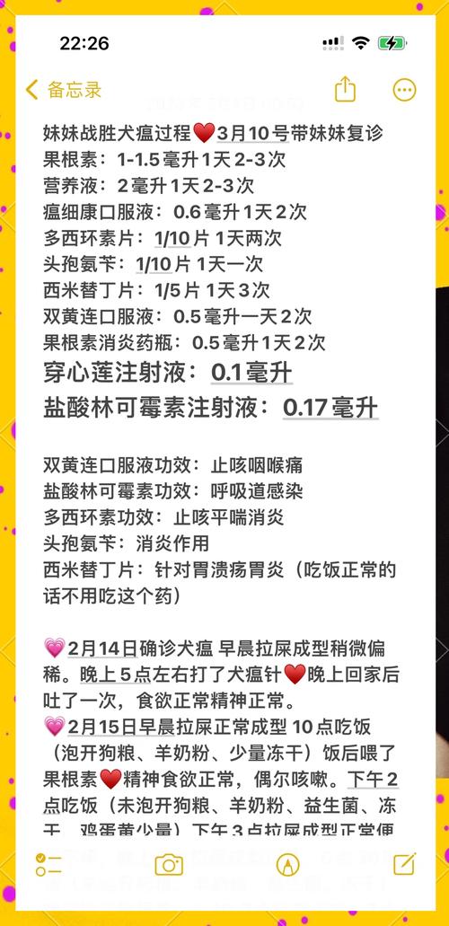 狗瘟:狗狗得了犬瘟(狗瘟)怎么办?