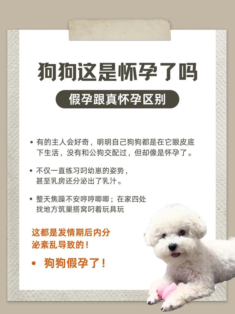 狗狗怀孕多久有奶水