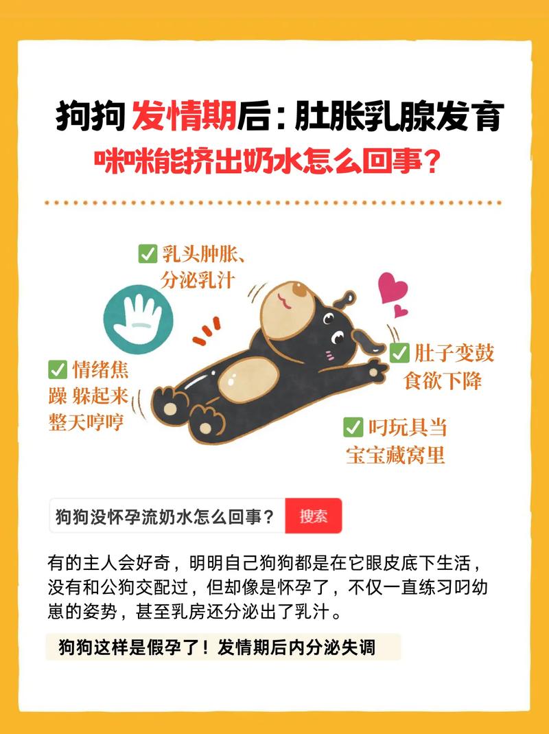 狗怀孕多久能挤出奶水