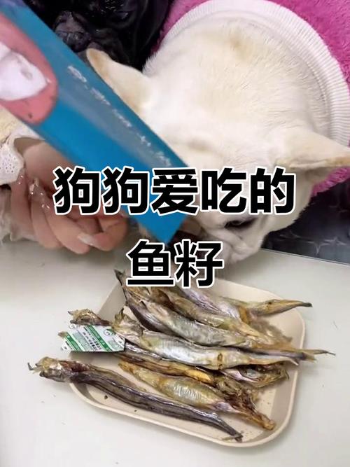 狗狗可以吃鱼籽吗