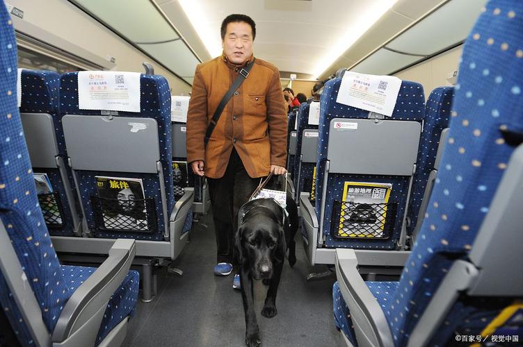 狗狗火车托运都需要什么手续和东西?