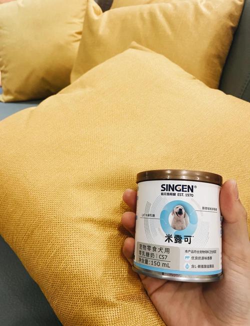 早上狗狗喝米汤好吗